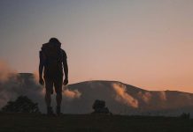 Detecting Parkinson’s Disease Early